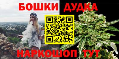 шишки Новокубанск