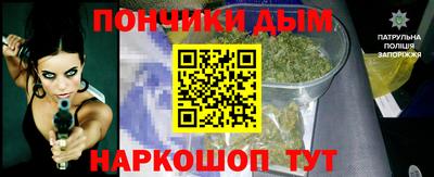шишки Новокубанск